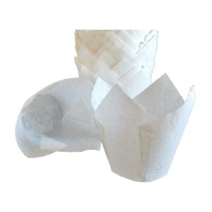 PIROTTINI TULIPS CUPS BIANCHI