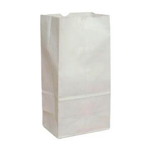 SACCHETTI IN CARTA KRAFT BIANCO